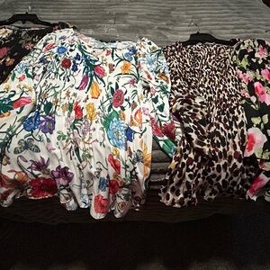 Charlie B. Women's Tops - Floral and Animal Prints